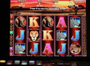 新kiyaun网页版登录2024最新版